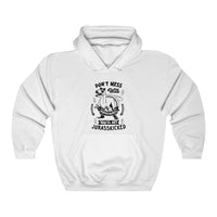 Don't Mess With Mamasaurus, You'll get Jurasskicked Hooded Sweatshirt